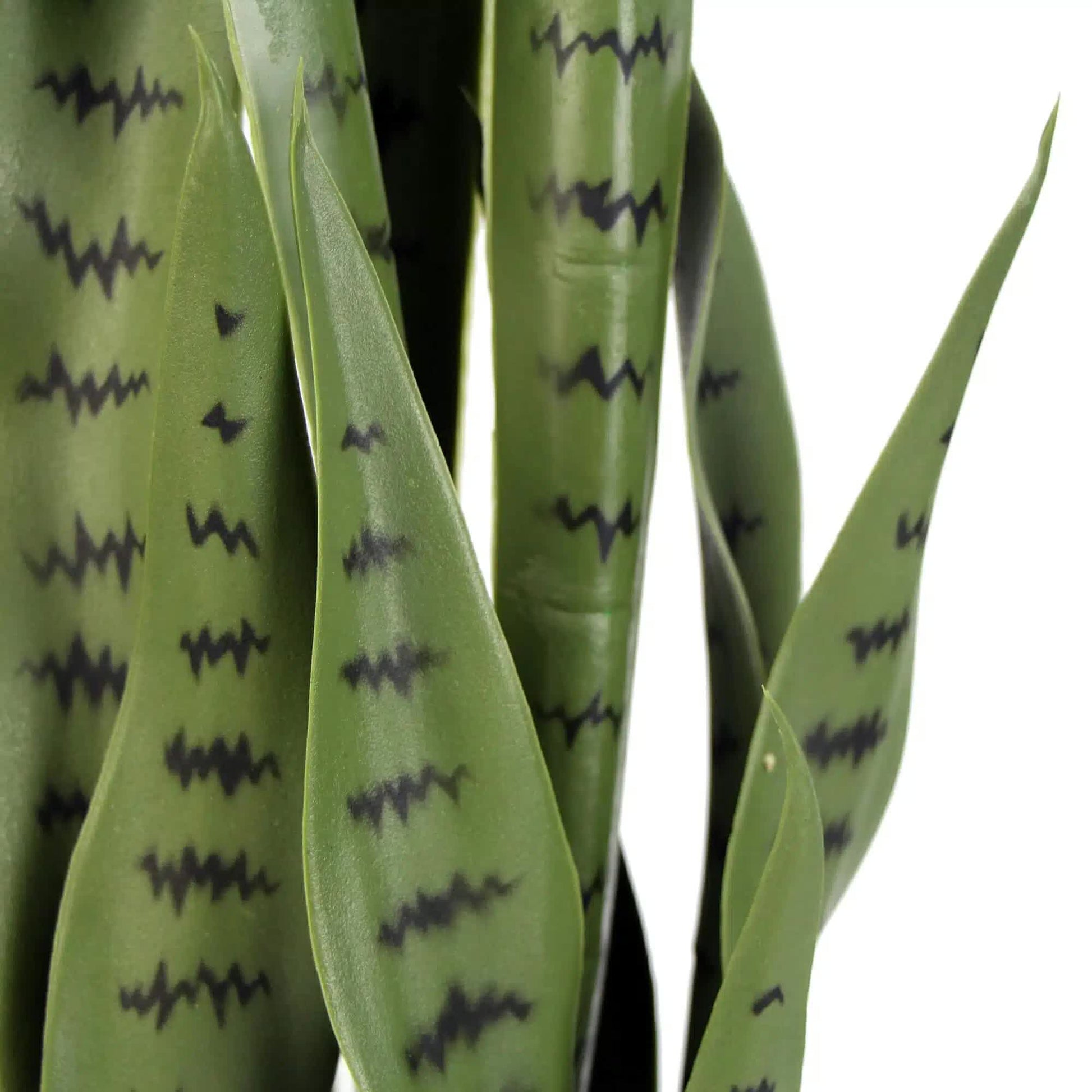 Artificial Snake Plant Sansevieria UV Resistant 85cm V637-DP9102789