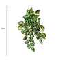 Artificial Hanging / Draping Tradescantia Zebrina 42cm V637-DP92781