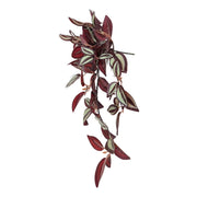 Artificial Hanging / Draping Burgundy Tradescantia Zebrina 42cm V637-DP92789