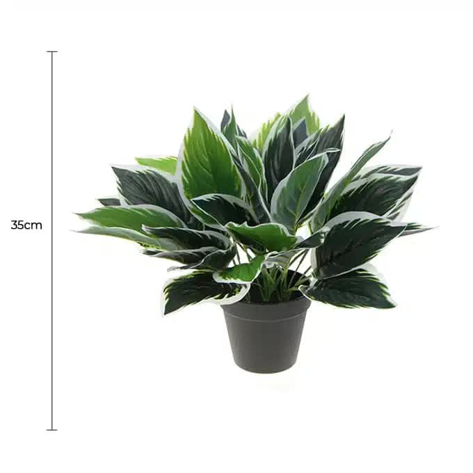 Dense Potted Artificial Calathea Plant 35cm V637-DP9801899