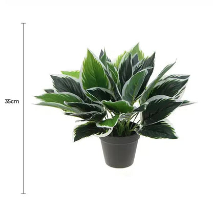 Dense Potted Artificial Calathea Plant 35cm V637-DP9801899