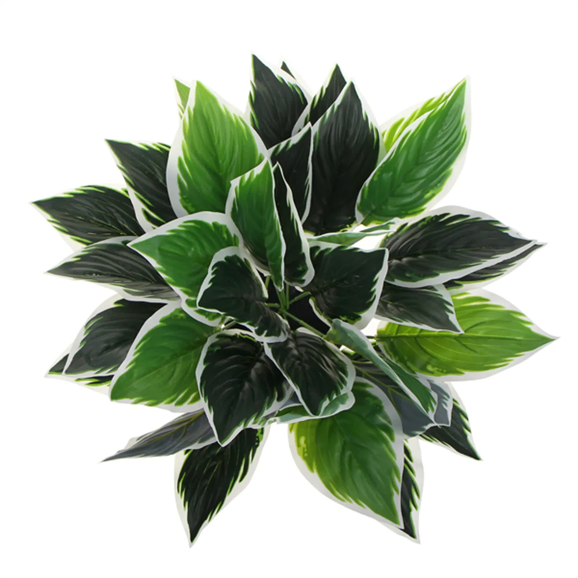 Dense Potted Artificial Calathea Plant 35cm V637-DP9801899