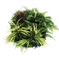 Slimline Artificial Green Wall Disc Art 50cm White Grassy UV Resistant (White) V637-DP9851