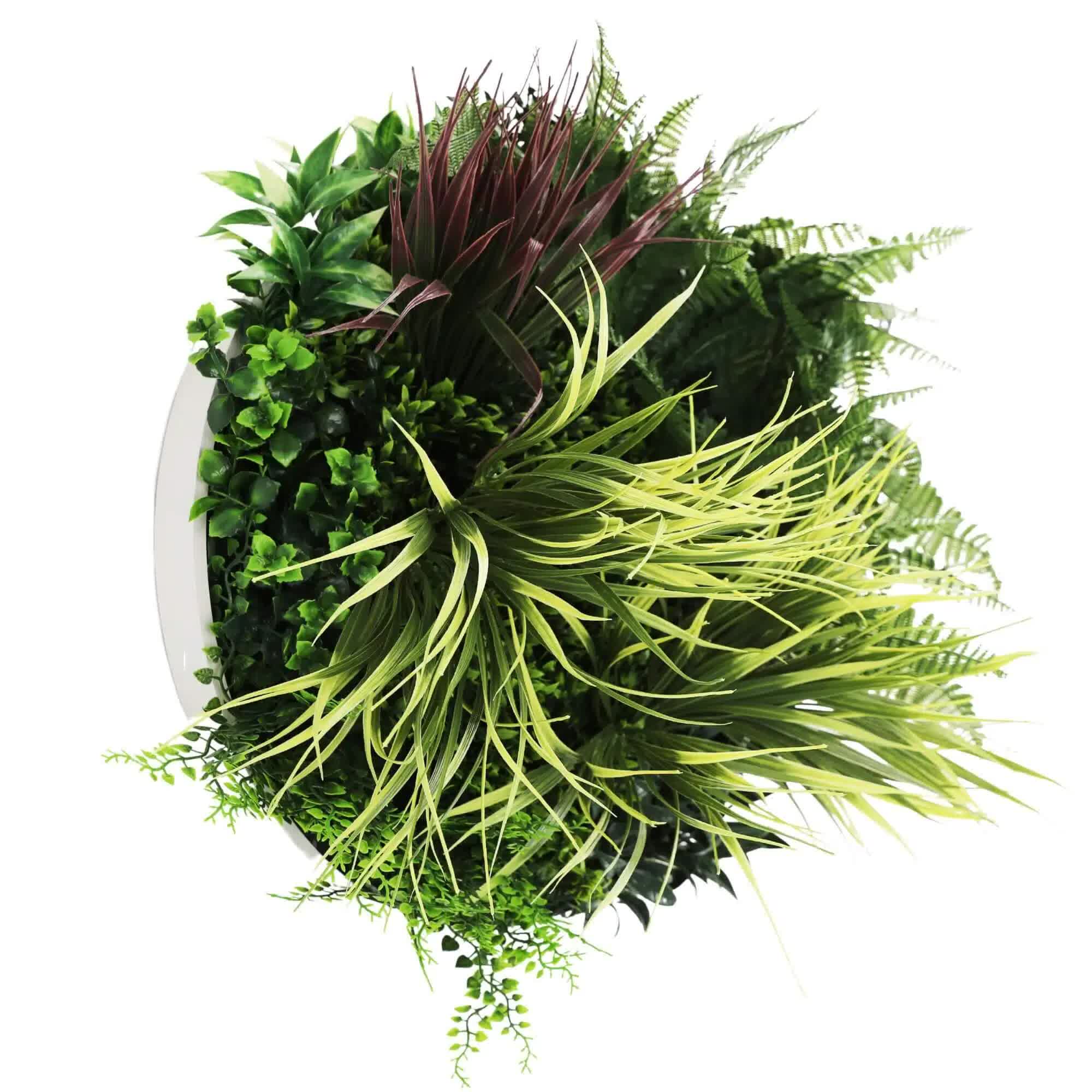 Slimline Artificial Green Wall Disc Art 50cm White Grassy UV Resistant (White) V637-DP9851
