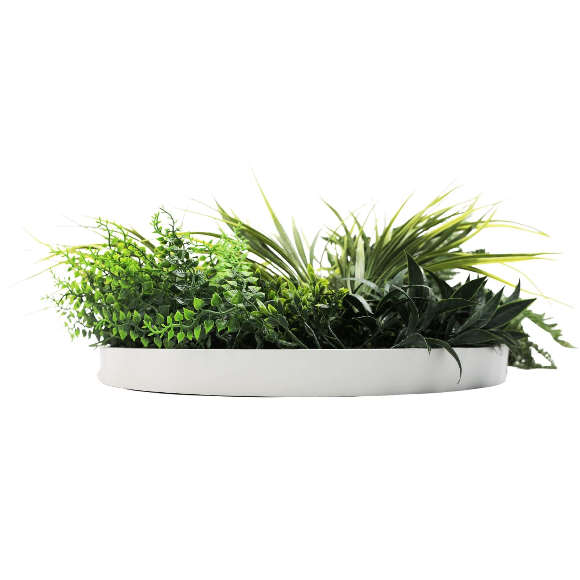 Slimline Artificial Green Wall Disc Art 50cm White Grassy UV Resistant (White) V637-DP9851