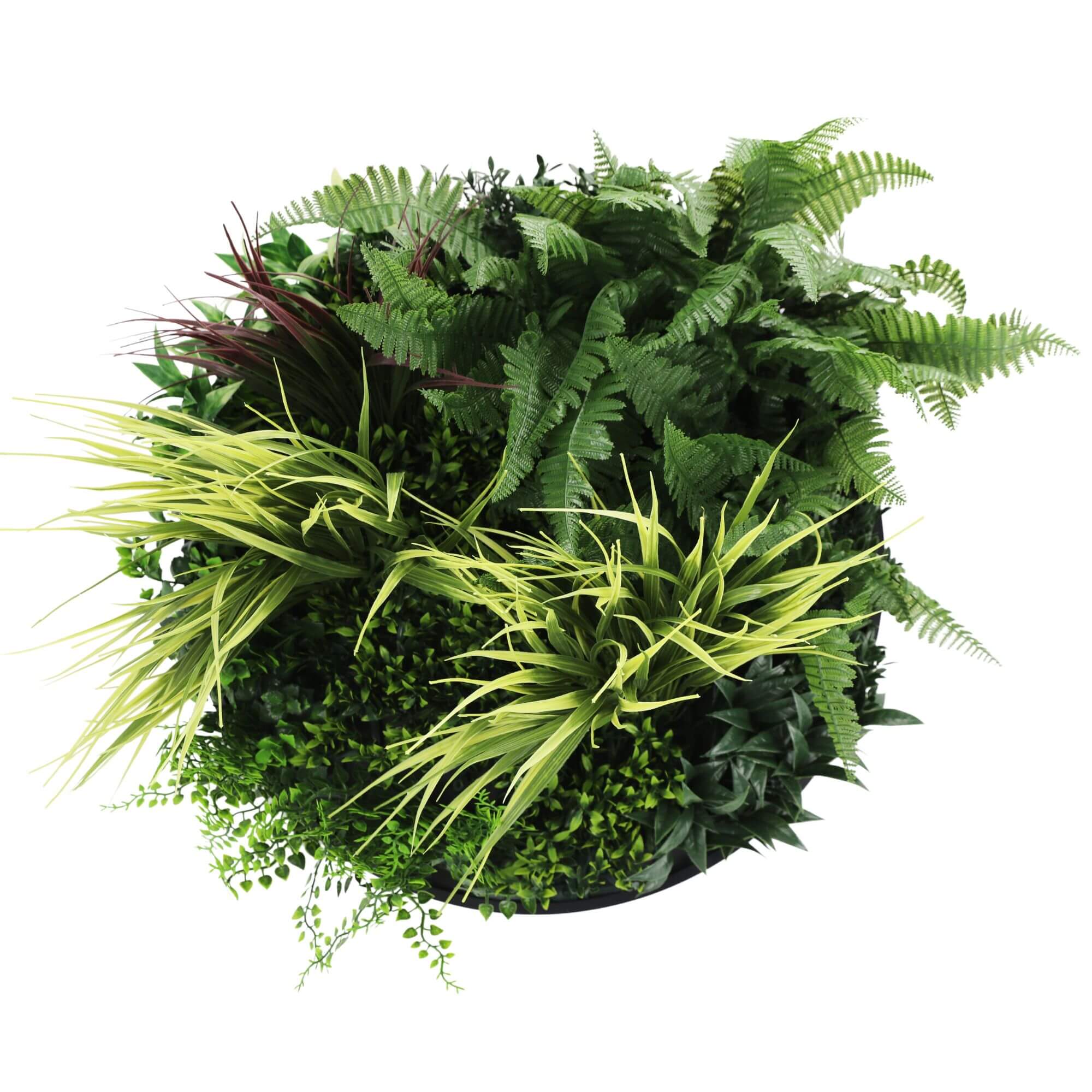 Slimline Artificial Green Wall Disc Art 50cm Grassy Fern Fields UV Resistant (Black) V637-DP9852