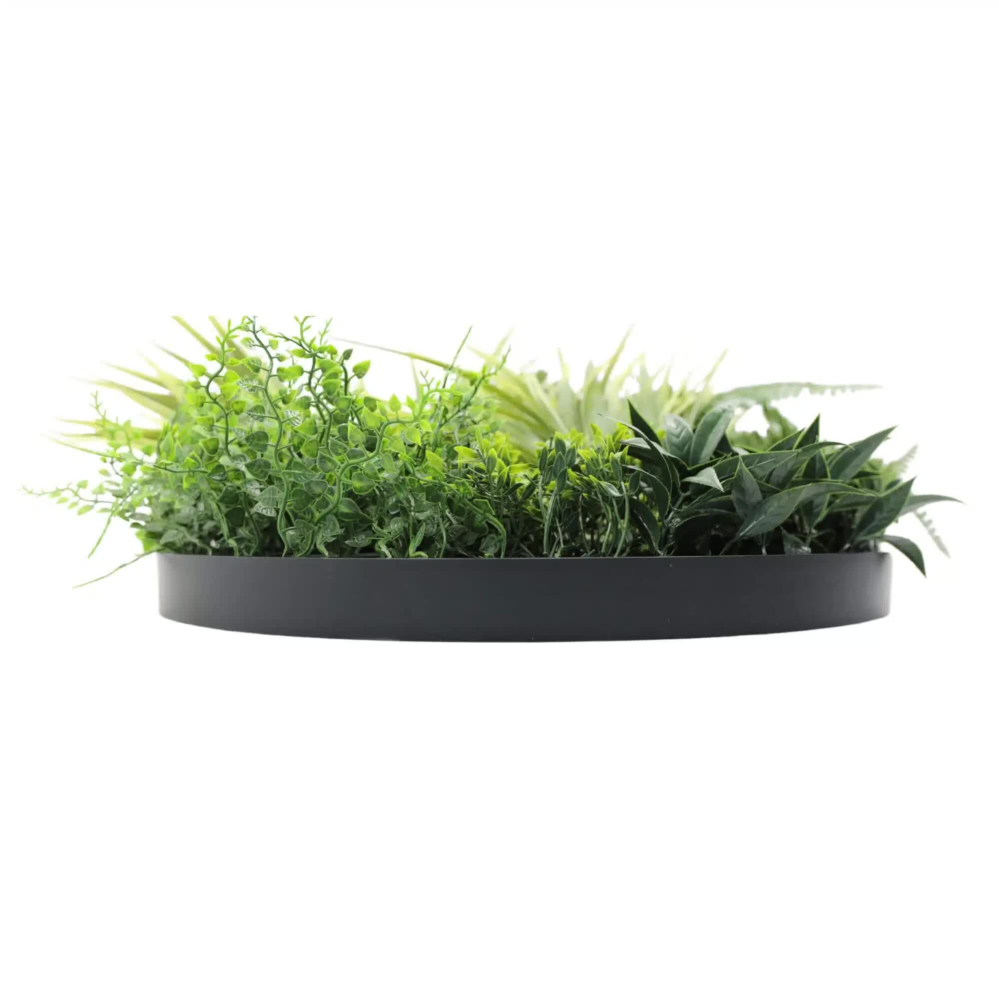 Slimline Artificial Green Wall Disc Art 50cm Grassy Fern Fields UV Resistant (Black) V637-DP9852