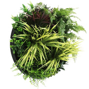 Slimline Artificial Green Wall Disc Art 50cm Grassy Fern Fields UV Resistant (Black) V637-DP9852