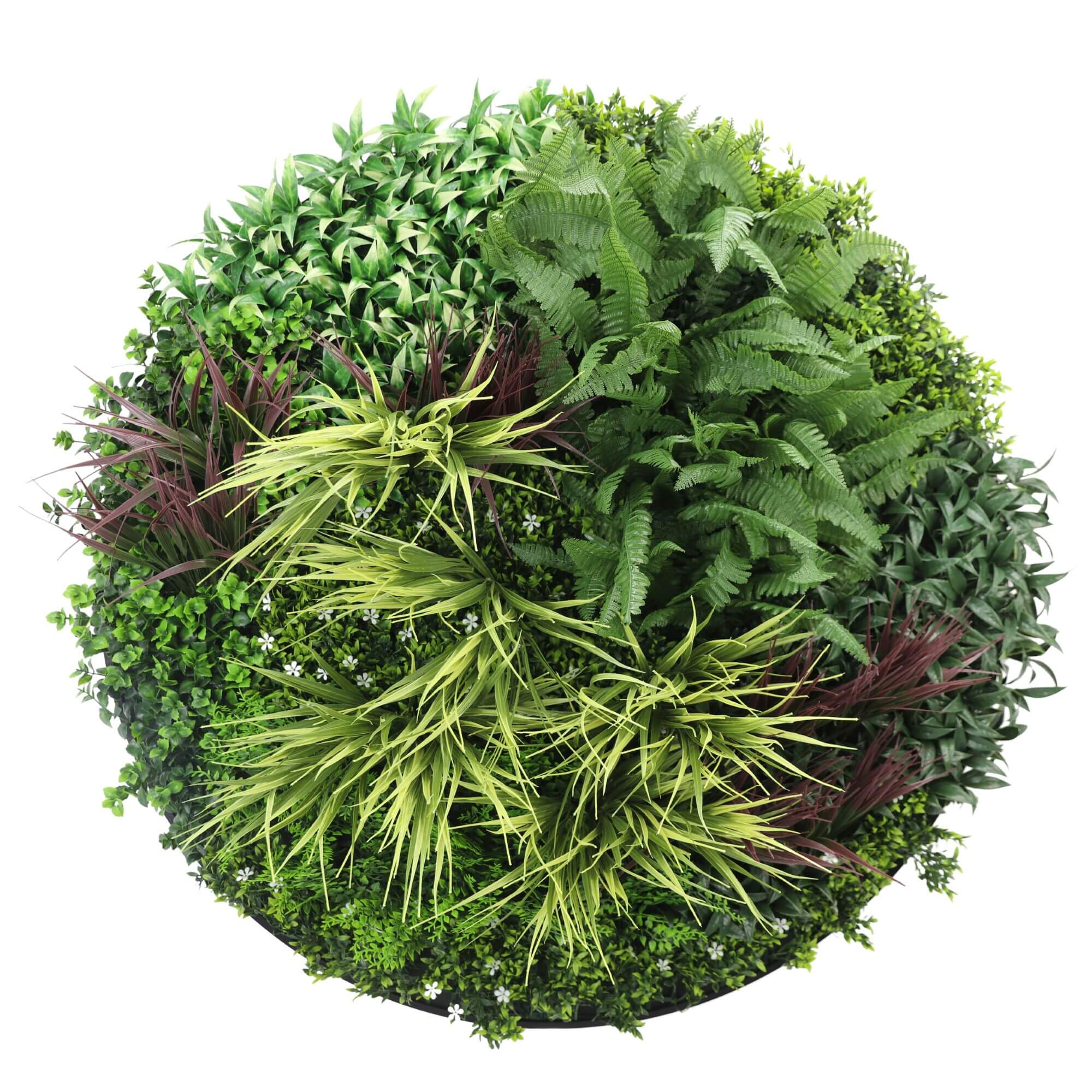 Slimline Artificial Green Wall Disc Art 100cm Grassy Fern UV Resistant (Black) V637-DP9853