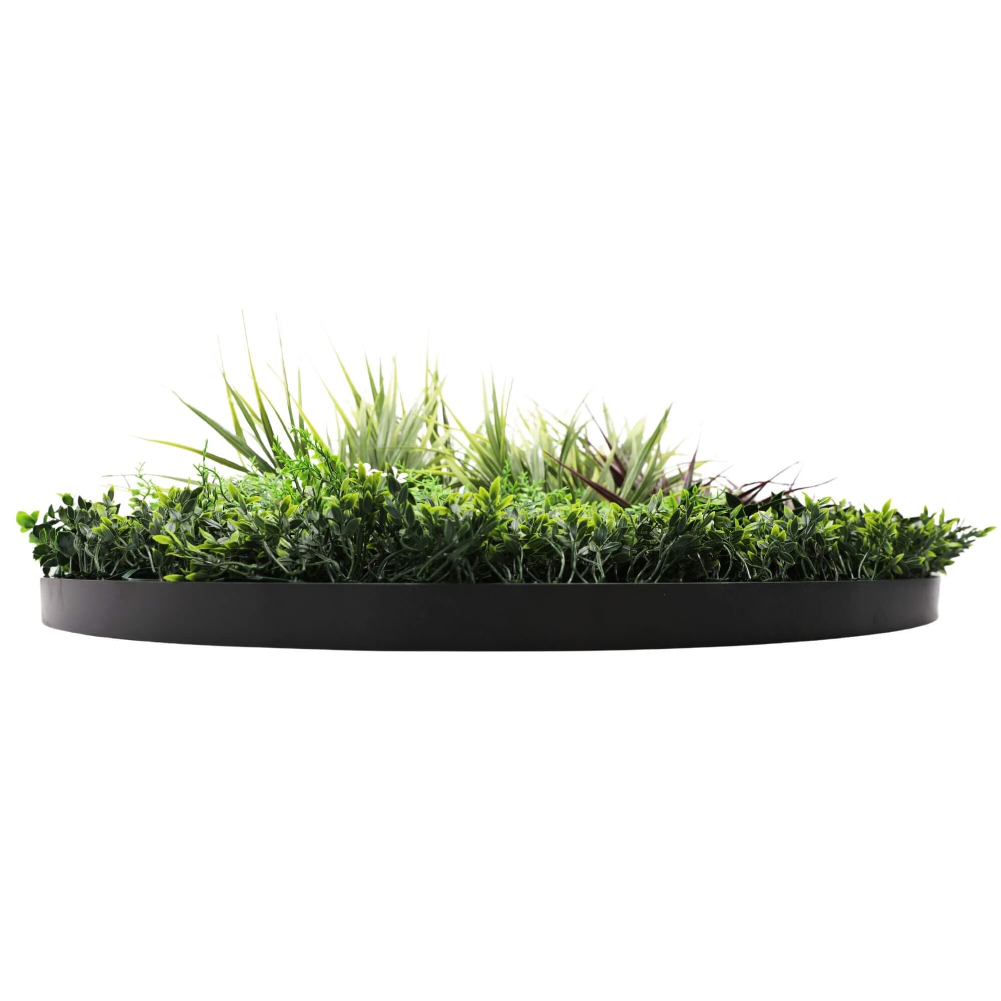Slimline Artificial Green Wall Disc Art 100cm Grassy Fern UV Resistant (Black) V637-DP9853
