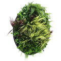 Slimline Artificial Green Wall Disc Art 80cm Grassy Fern UV Resistant (Black) V637-DP9854