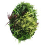 Slimline Artificial Green Wall Disc Art 80cm Grassy Fern UV Resistant (Black) V637-DP9854
