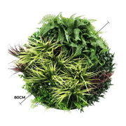 Slimline Artificial Green Wall Disc Art 80cm Grassy Fern UV Resistant (Black) V637-DP9854