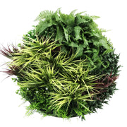Slimline Artificial Green Wall Disc Art 80cm Grassy Fern UV Resistant (Black) V637-DP9854