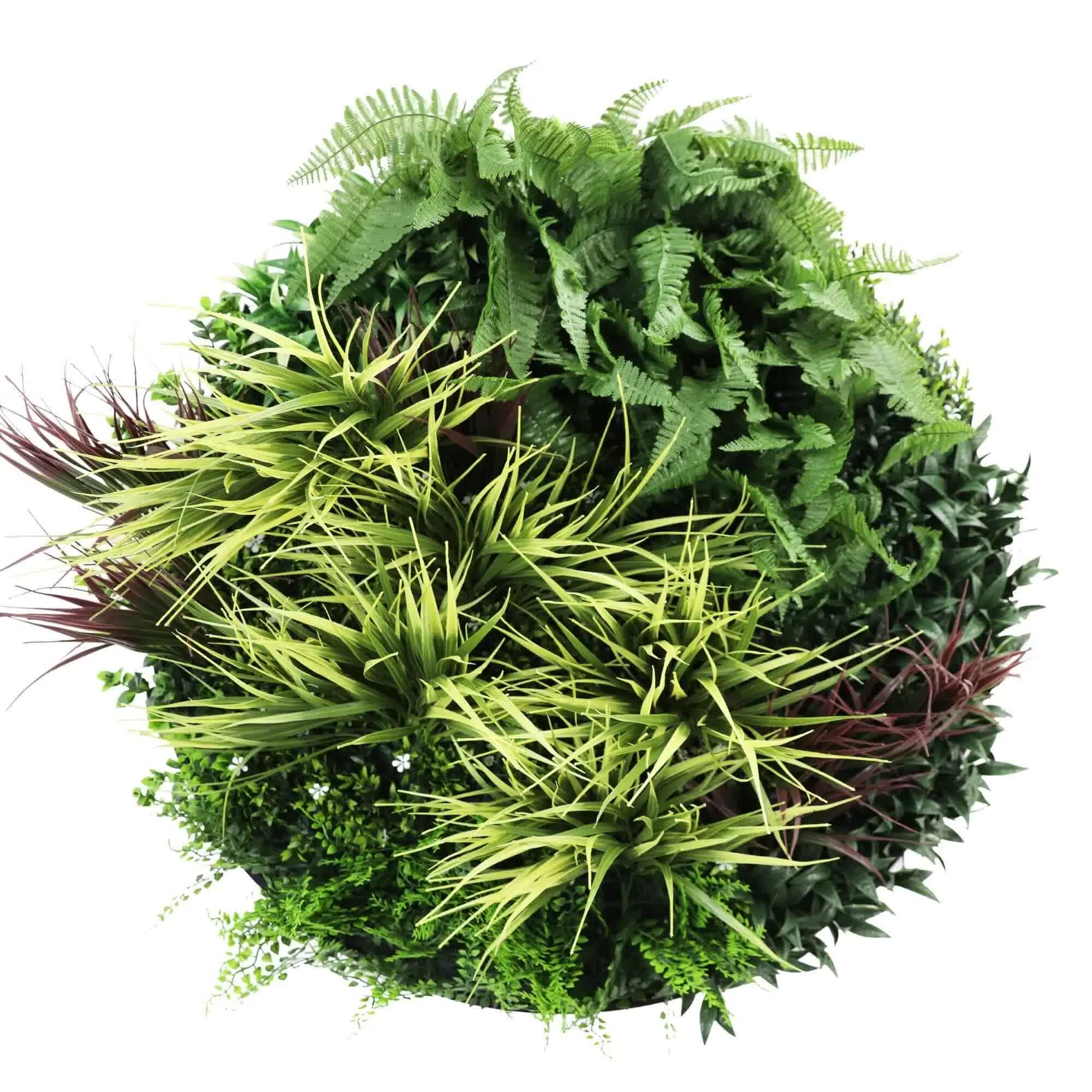 Slimline Artificial Green Wall Disc Art 80cm Grassy Fern UV Resistant (Black) V637-DP9854