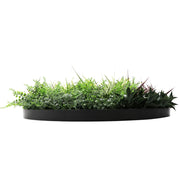 Slimline Artificial Green Wall Disc Art 80cm Grassy Fern UV Resistant (Black) V637-DP9854