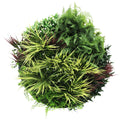 Slimline Artificial Green Wall Disc Art 80cm Grassy Fern UV Resistant (White) V637-DP9855