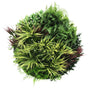 Slimline Artificial Green Wall Disc Art 80cm Grassy Fern UV Resistant (White) V637-DP9855