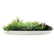 Slimline Artificial Green Wall Disc Art 80cm Grassy Fern UV Resistant (White) V637-DP9855