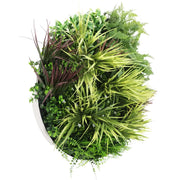 Slimline Artificial Green Wall Disc Art 80cm Grassy Fern UV Resistant (White) V637-DP9855