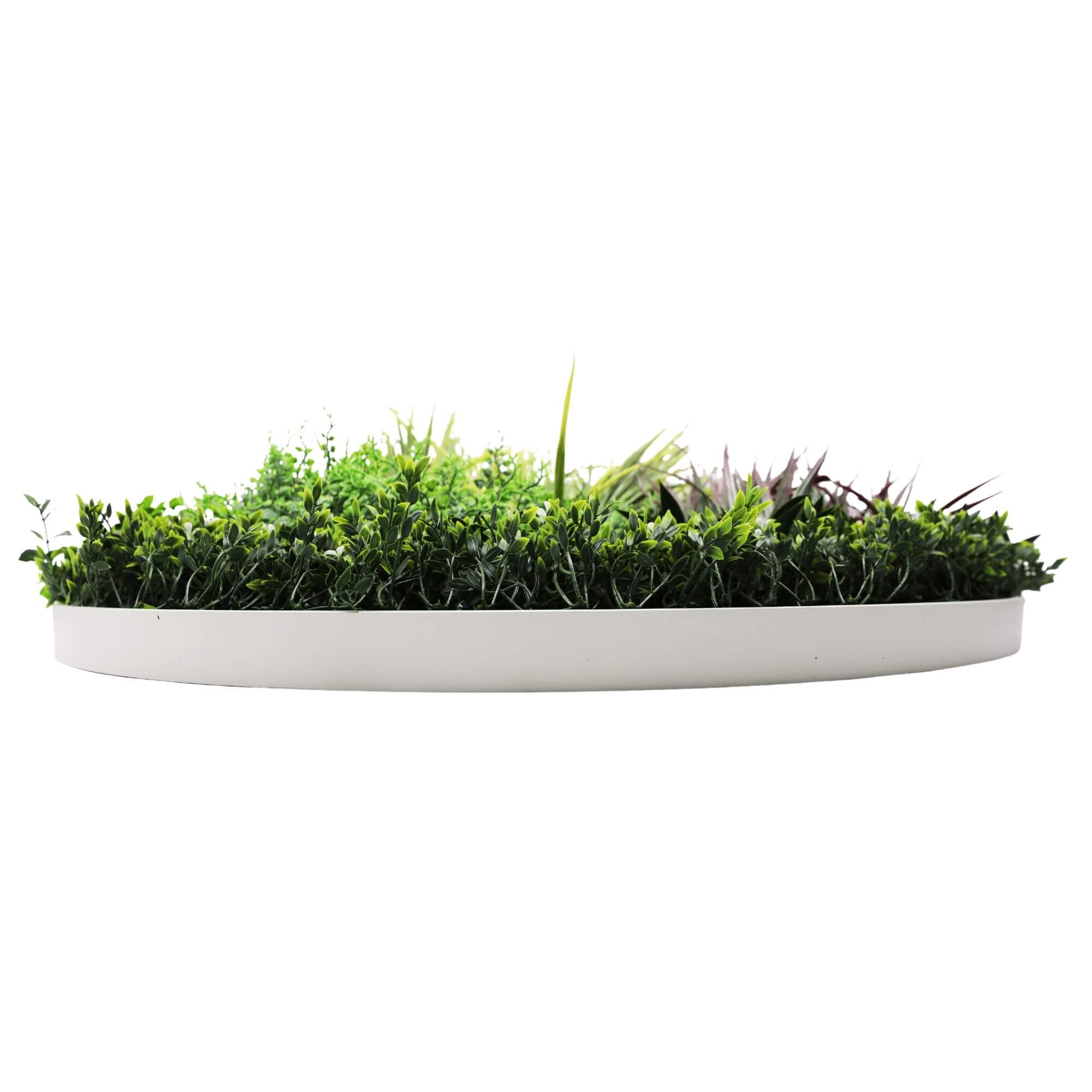 Slimline Artificial Green Wall Disc Art 100cm Grassy Fern UV Resistant (White) V637-DP9856