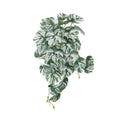 Artificial White & Green Monstera Albo Variegata 45cm V637-DP98569