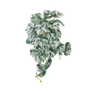 Artificial White & Green Monstera Albo Variegata 45cm V637-DP98569