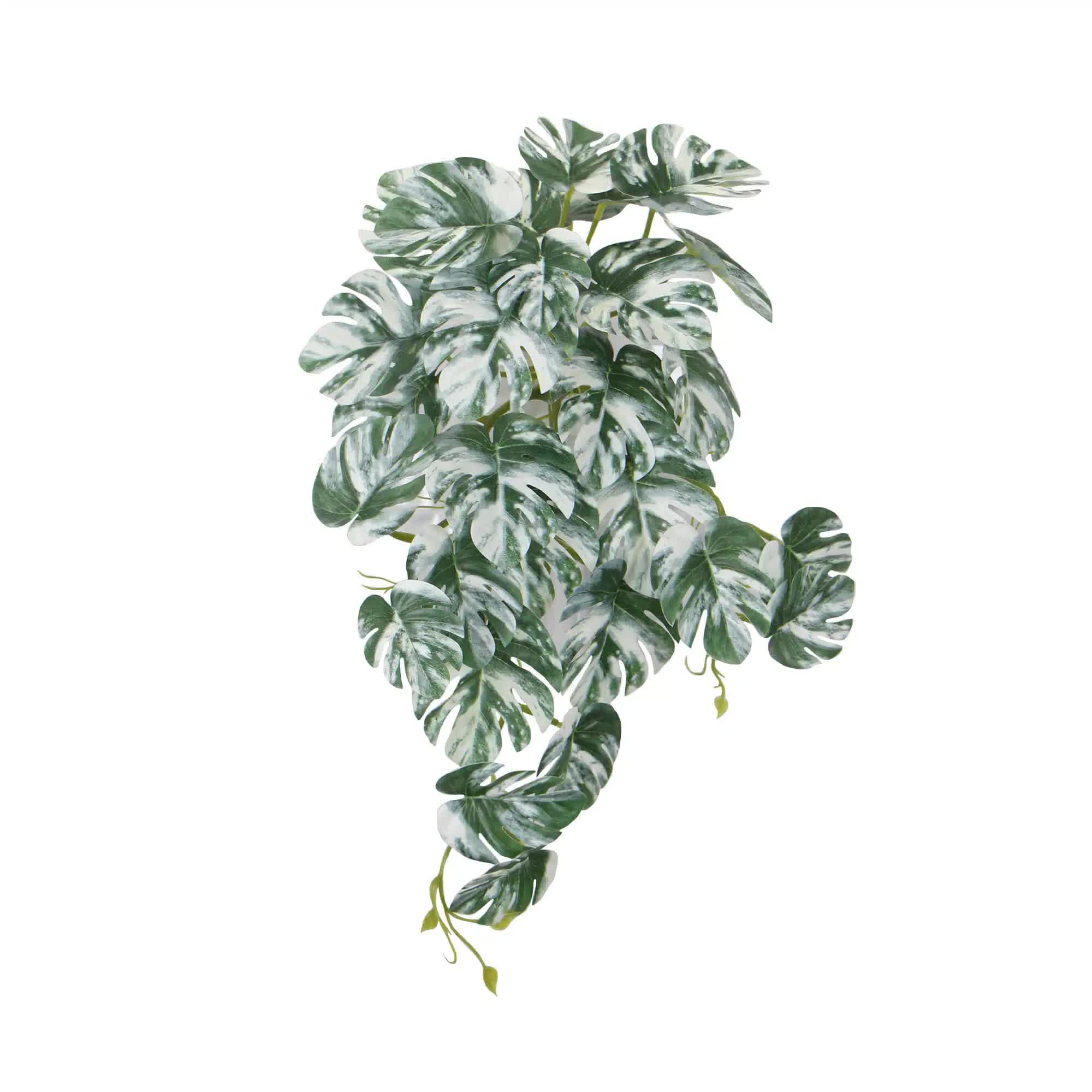 Artificial White & Green Monstera Albo Variegata 45cm V637-DP98569