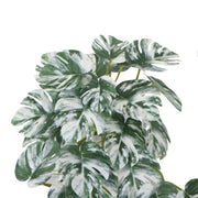 Artificial White & Green Monstera Albo Variegata 45cm V637-DP98569