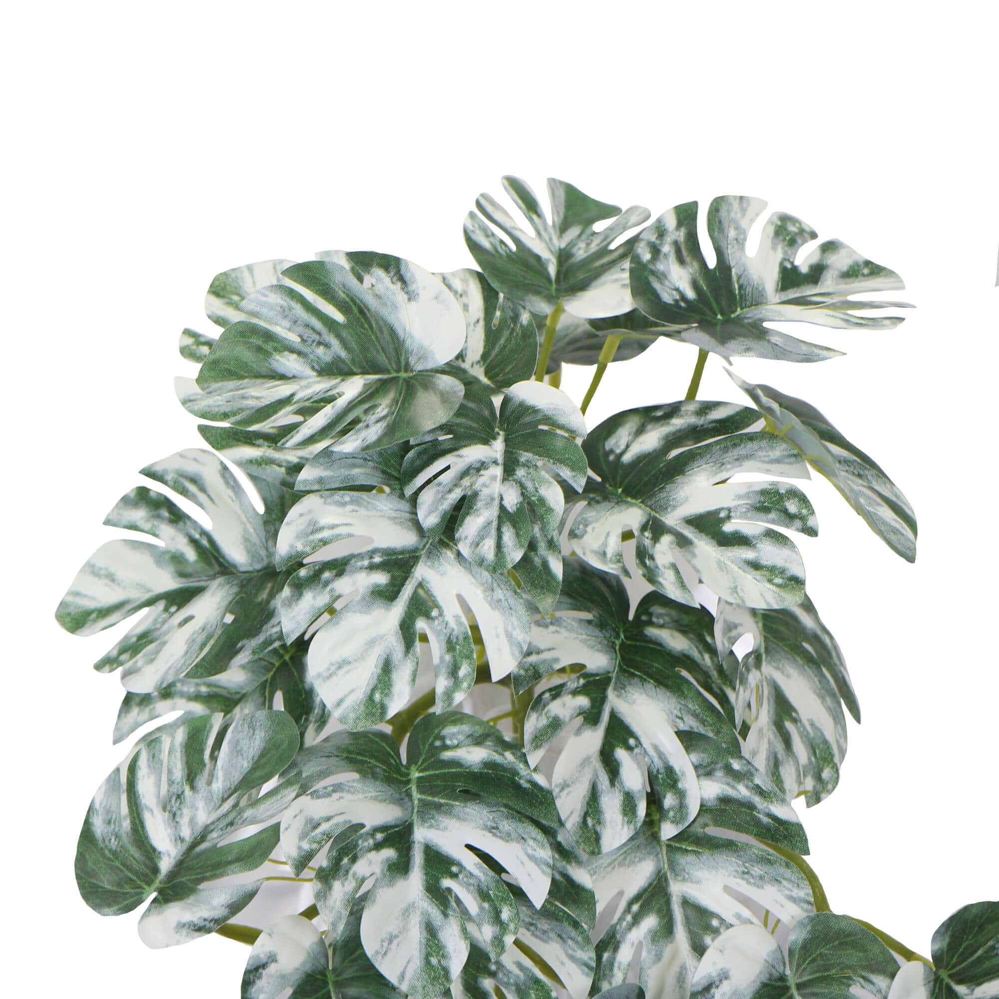 Artificial White & Green Monstera Albo Variegata 45cm V637-DP98569
