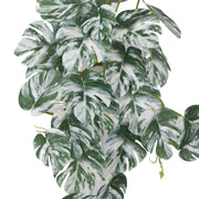 Artificial White & Green Monstera Albo Variegata 45cm V637-DP98569