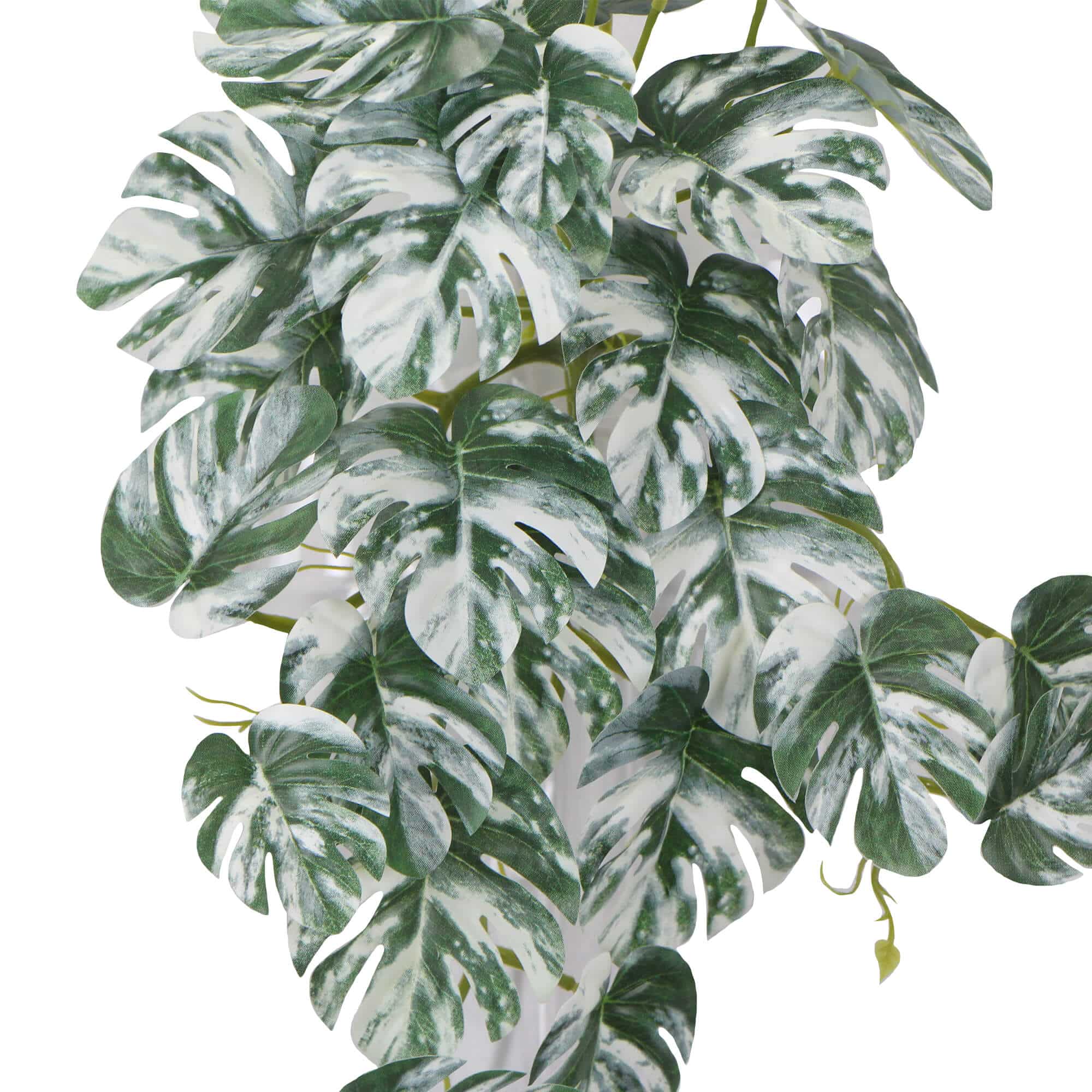 Artificial White & Green Monstera Albo Variegata 45cm V637-DP98569