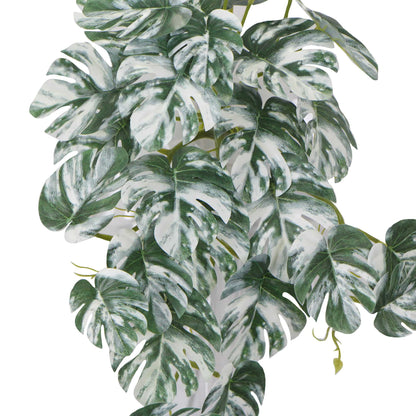 Artificial White & Green Monstera Albo Variegata 45cm V637-DP98569