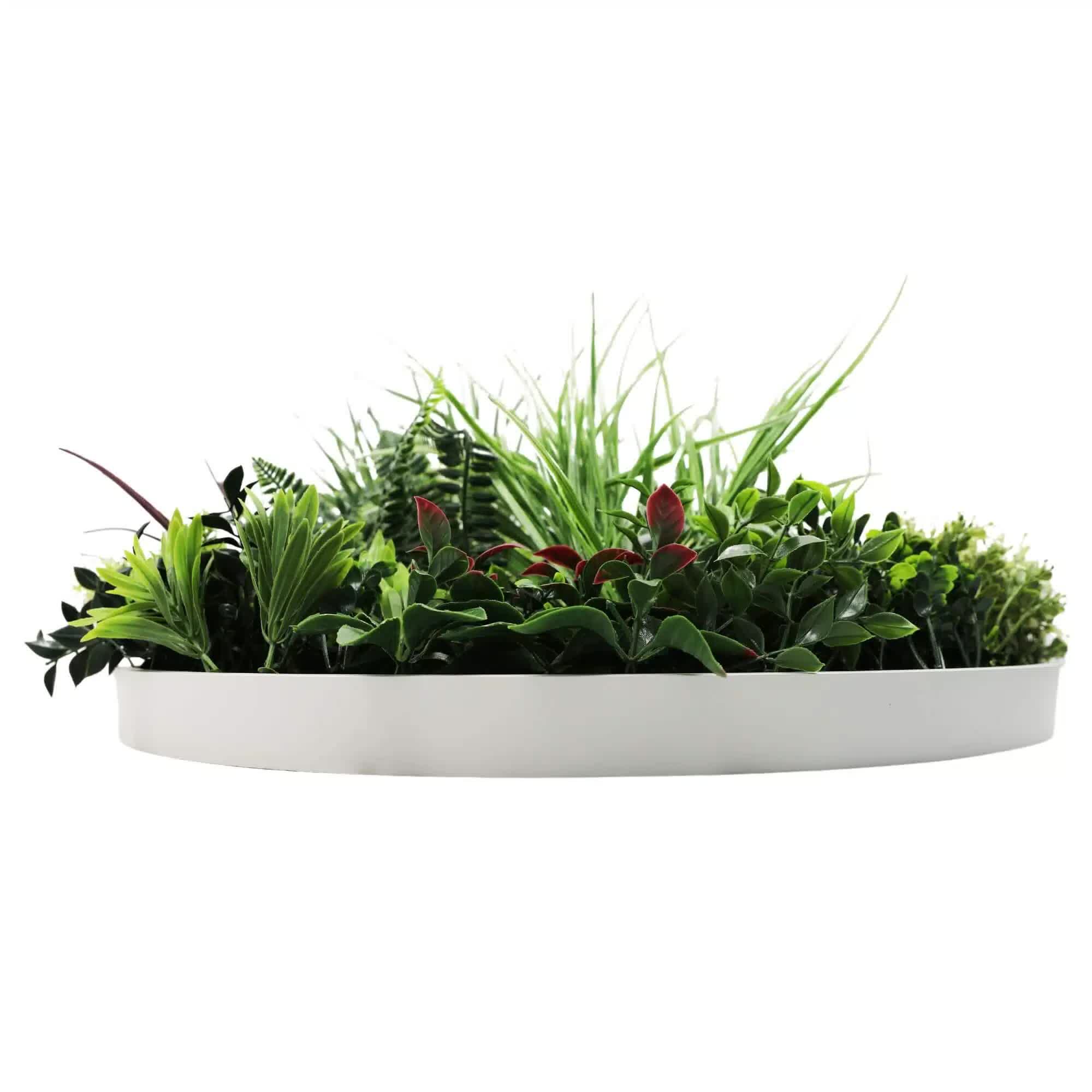 Slimline Artificial Green Wall Disc Art 60cm Colour Fresh UV Resistant (White) V637-DP9862