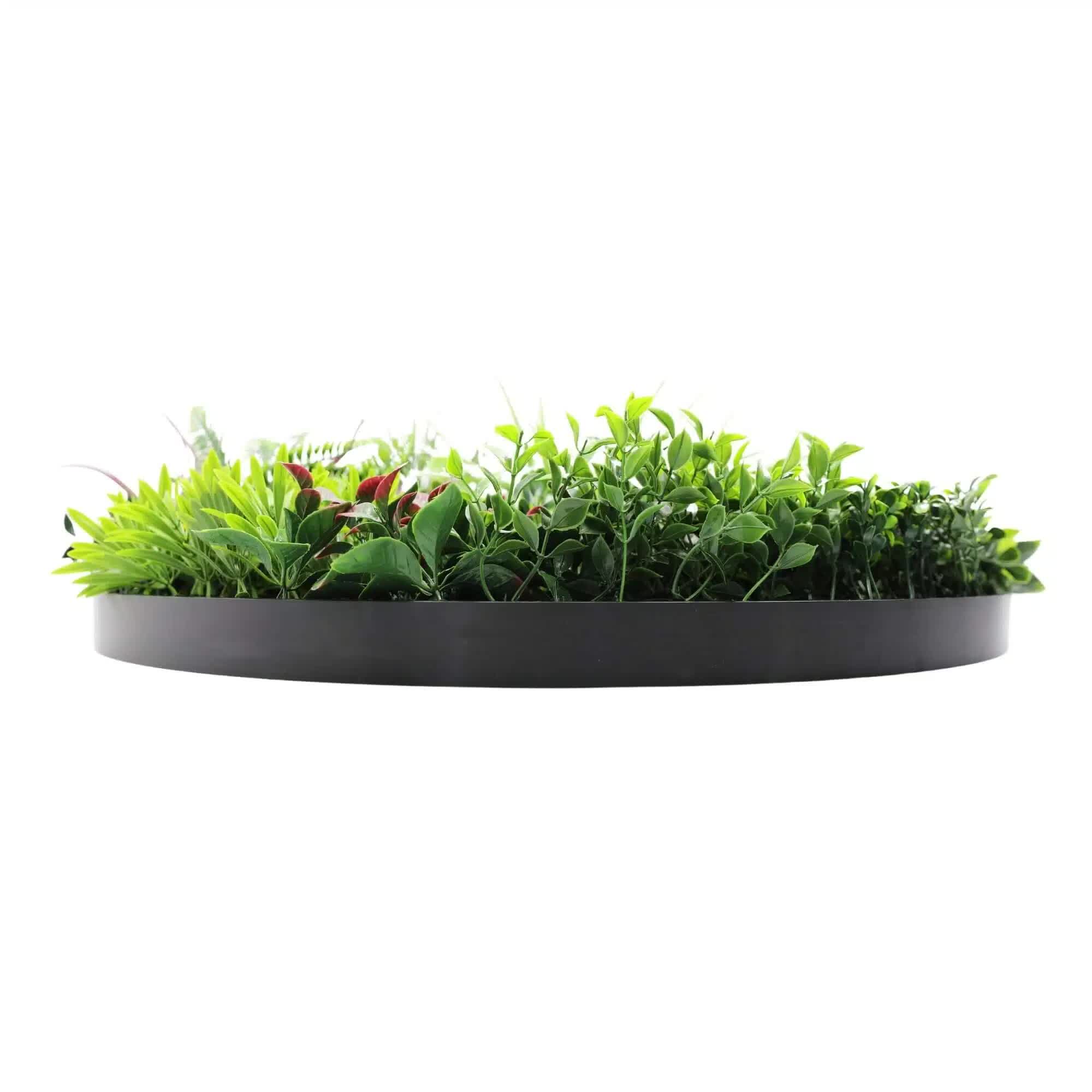 Slimline Artificial Green Wall Disc Art 80cm Colour Fresh UV Resistant (Black) V637-DP9863