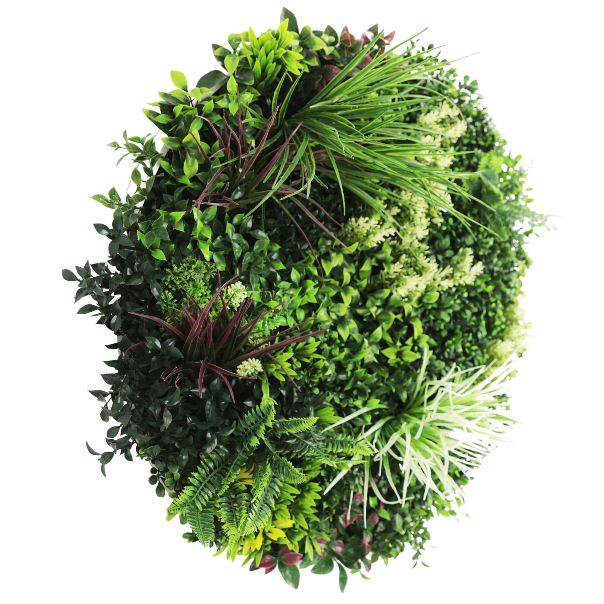 Slimline Artificial Green Wall Disc Art 80cm Colour Fresh UV Resistant (White) V637-DP9864