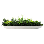 Slimline Artificial Green Wall Disc Art 80cm Colour Fresh UV Resistant (White) V637-DP9864