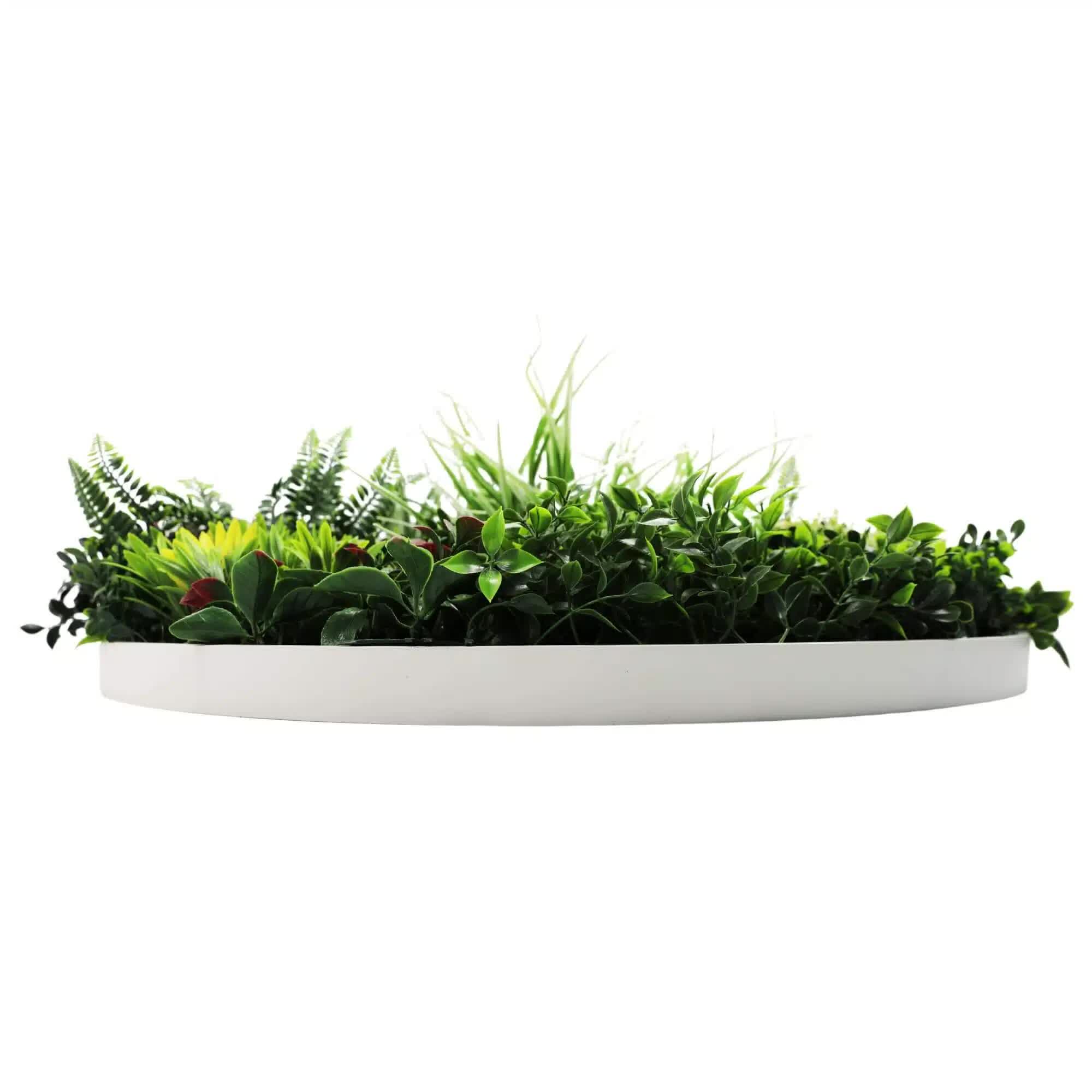 Slimline Artificial Green Wall Disc Art 80cm Colour Fresh UV Resistant (White) V637-DP9864