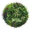 Slimline Artificial Green Wall Disc Art 100cm Colour Fresh UV Resistant (Black) V637-DP9865