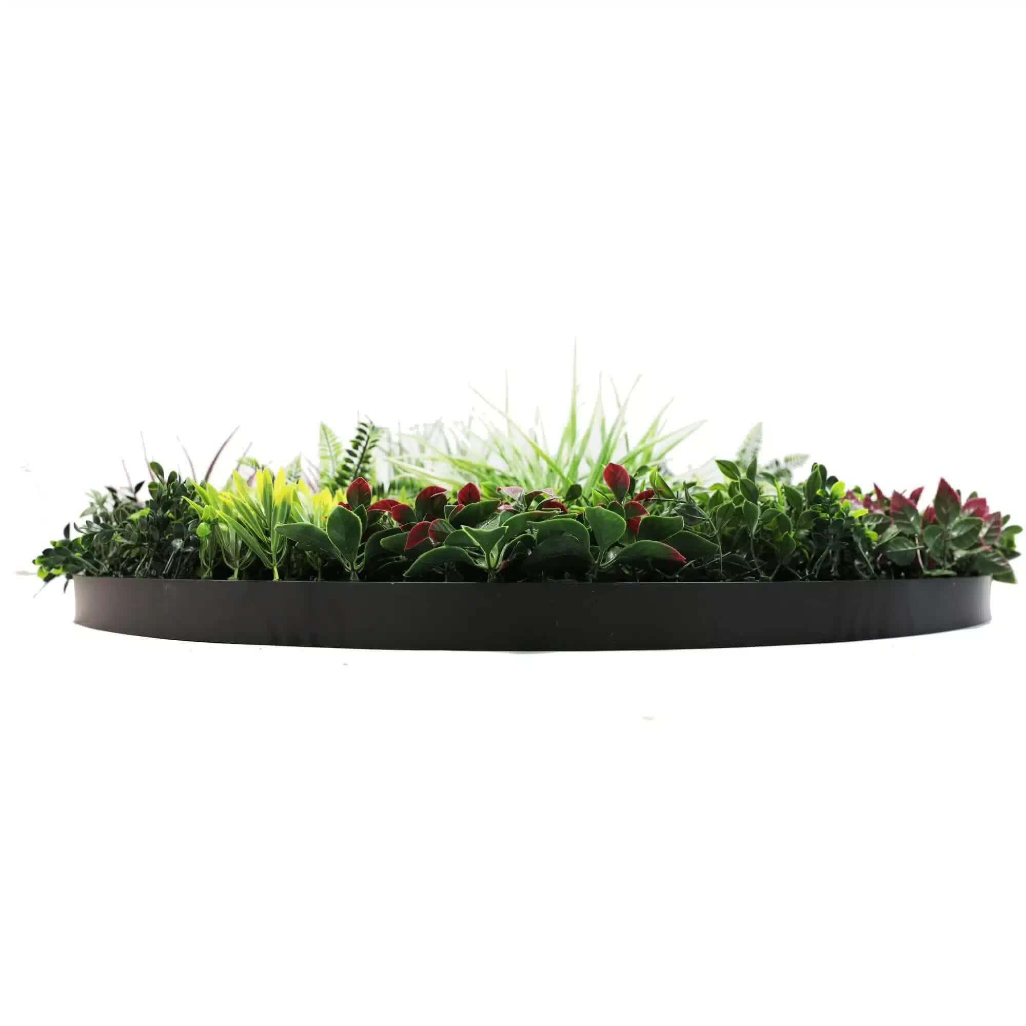 Slimline Artificial Green Wall Disc Art 100cm Colour Fresh UV Resistant (Black) V637-DP9865