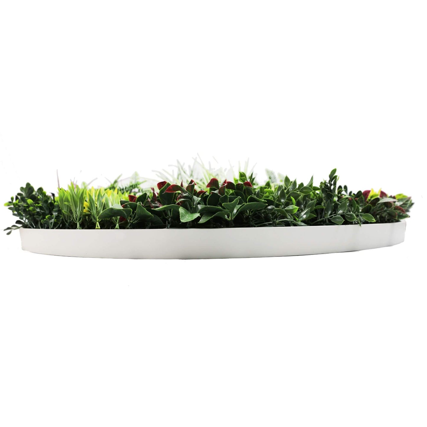 Slimline Artificial Green Wall Disc Art 100cm Colour Fresh UV Resistant (White) V637-DP9866
