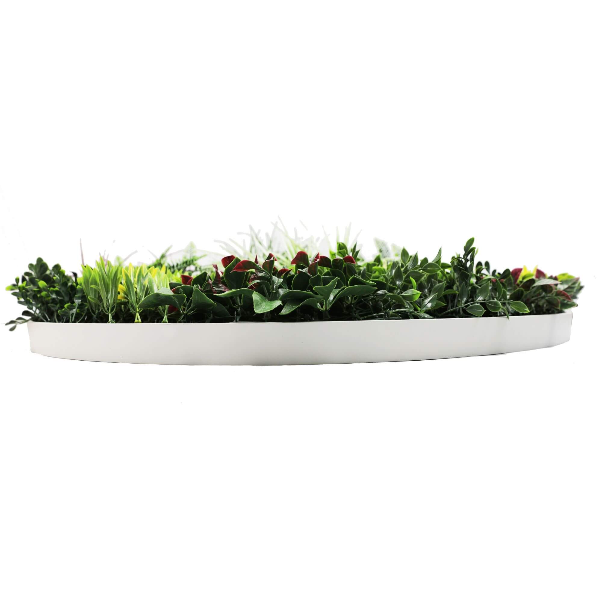 Slimline Artificial Green Wall Disc Art 100cm Colour Fresh UV Resistant (White) V637-DP9866