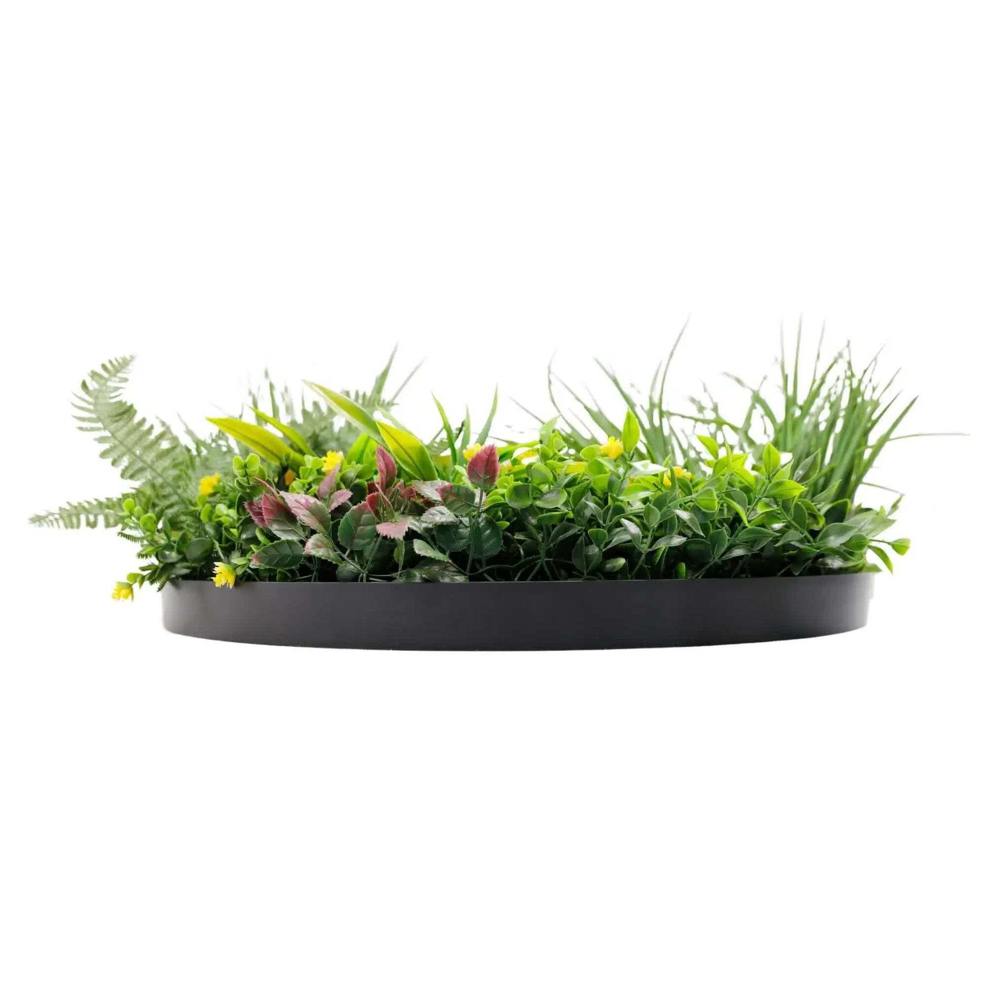 Slimline Artificial Green Wall Disc Art 60cm Country Fern UV Resistant (Black) V637-DP9961
