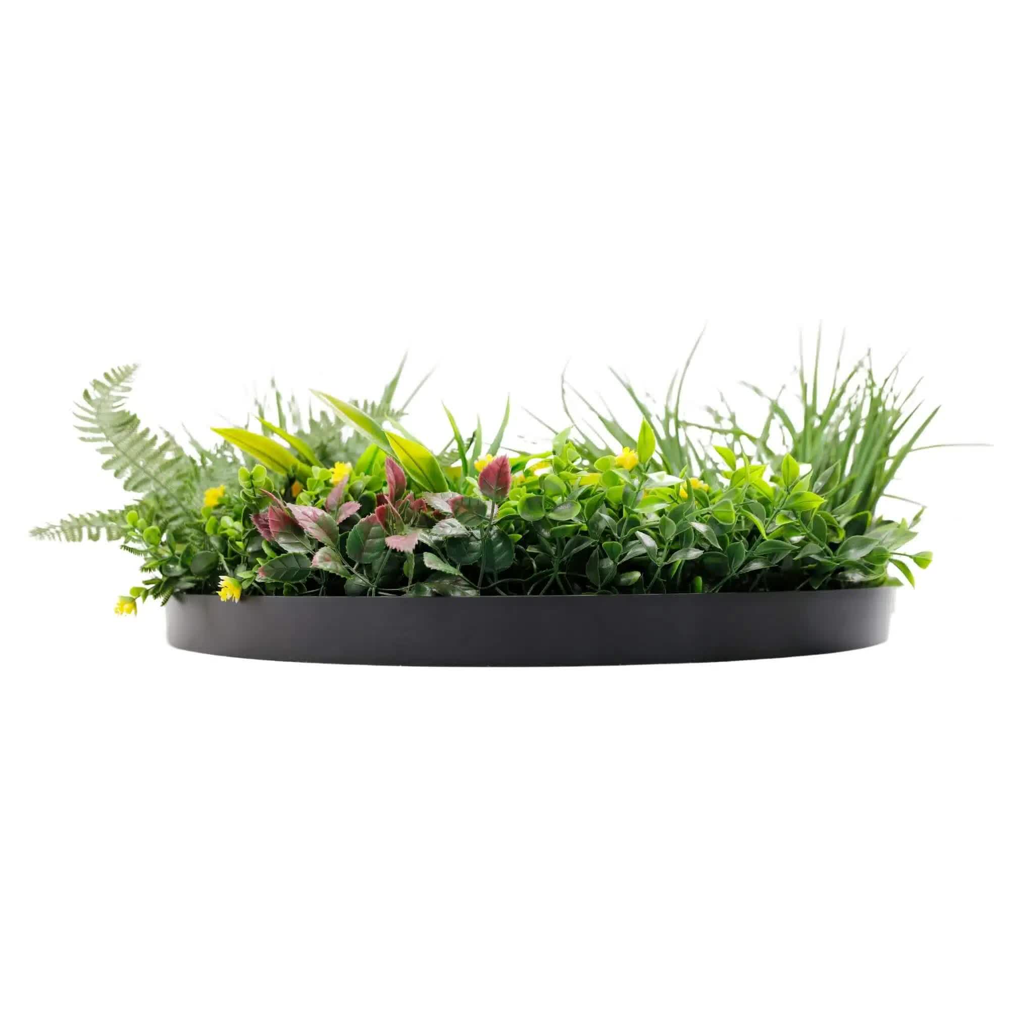 Slimline Artificial Green Wall Disc Art 60cm Country Fern UV Resistant (Black) V637-DP9961
