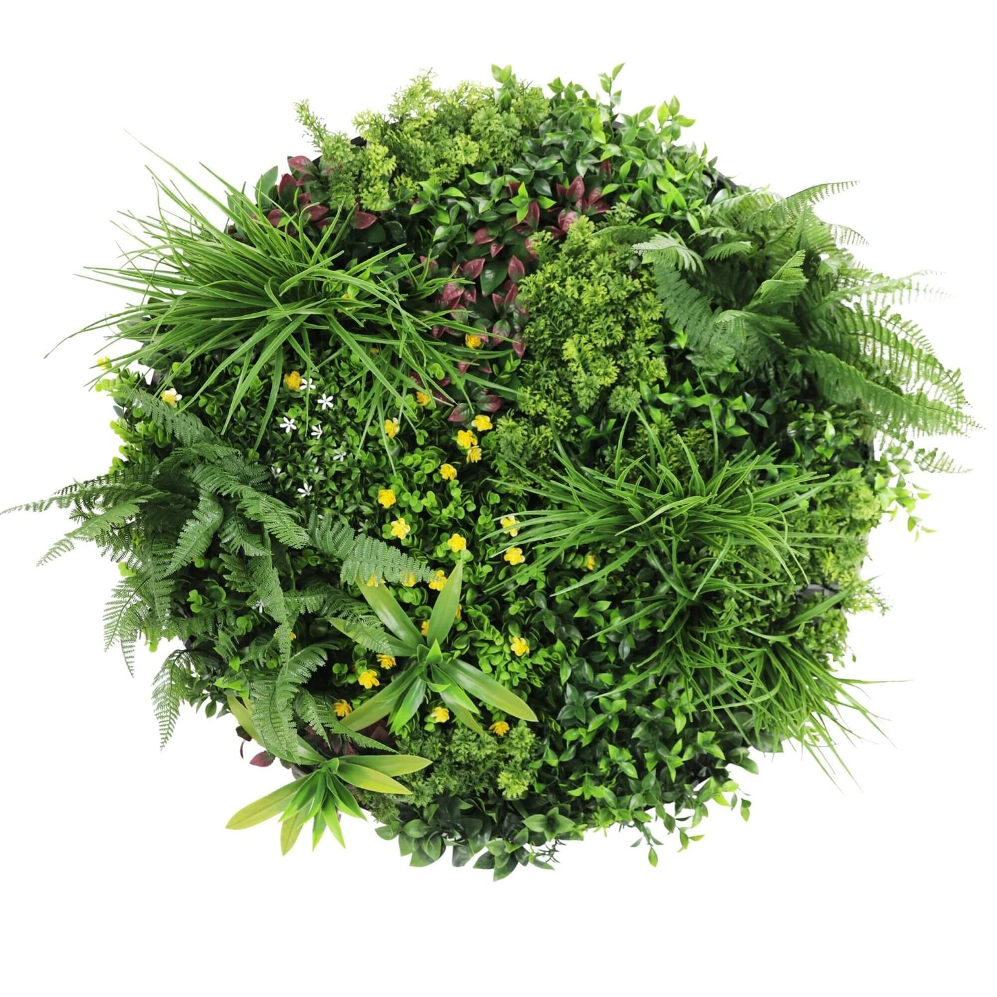 Slimline Artificial Green Wall Disc Art 80cm Country Fern UV Resistant (Black) V637-DP9962