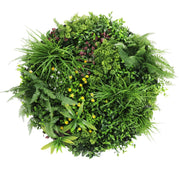 Slimline Artificial Green Wall Disc Art 80cm Country Fern UV Resistant (Black) V637-DP9962