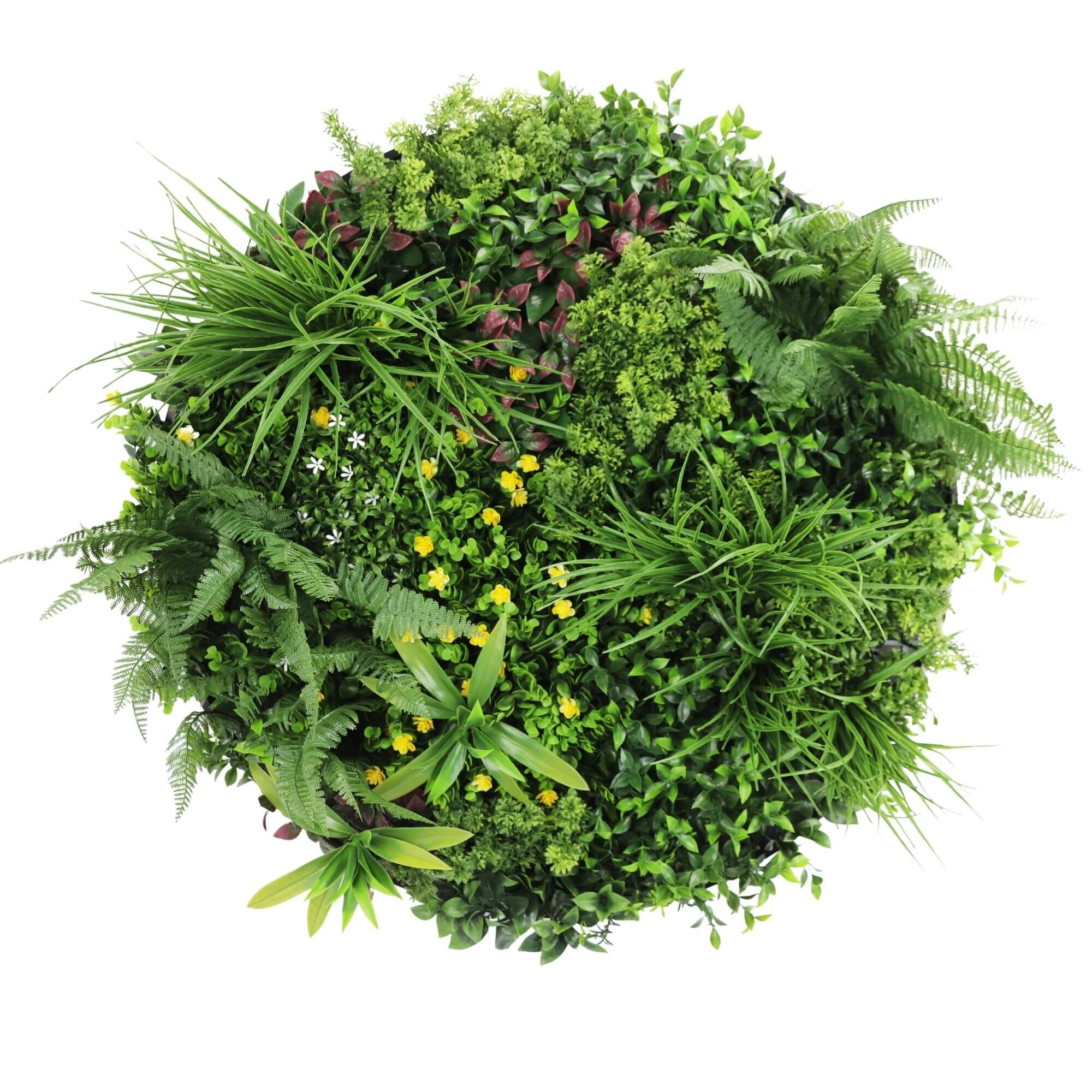 Slimline Artificial Green Wall Disc Art 80cm Country Fern UV Resistant (Black) V637-DP9962