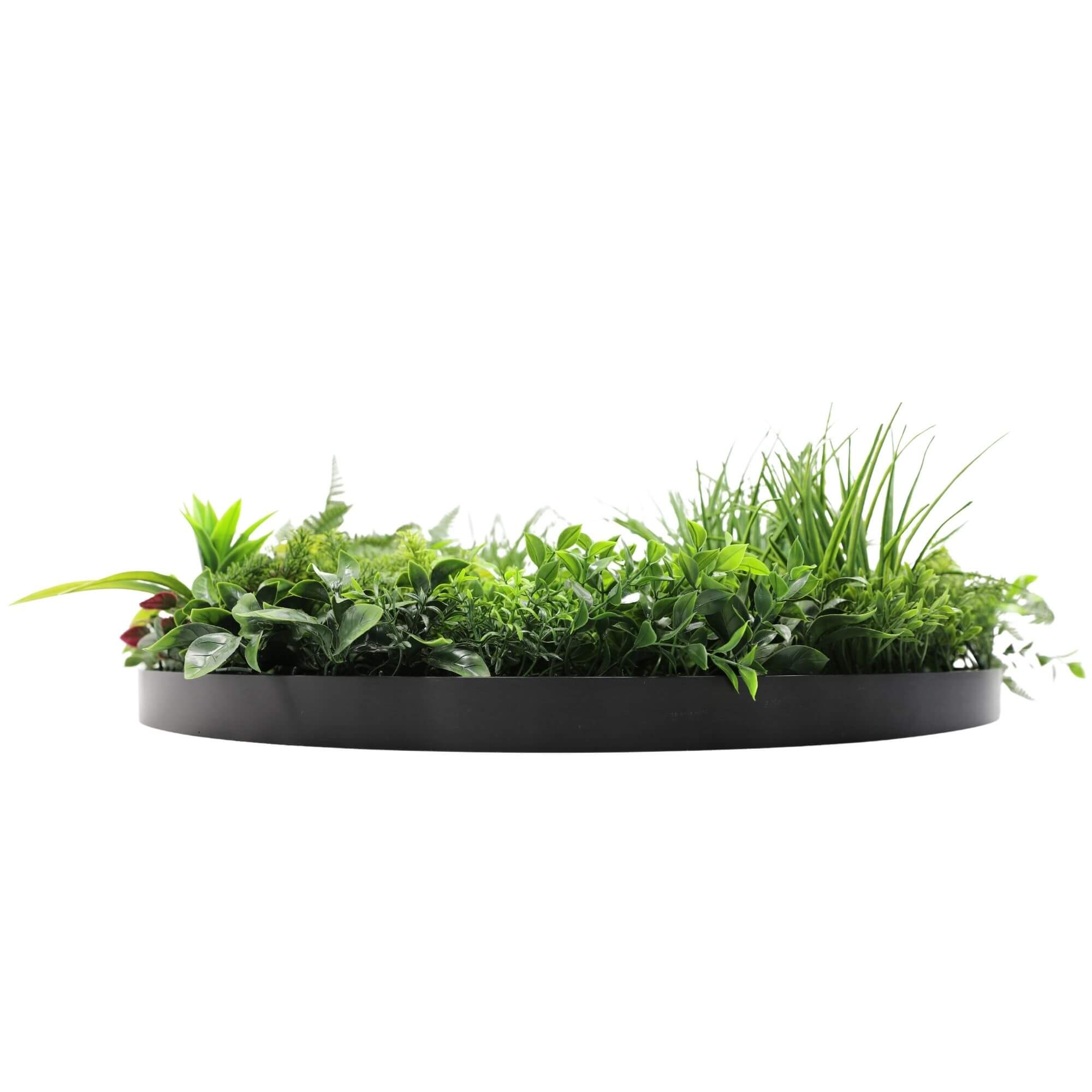 Slimline Artificial Green Wall Disc Art 80cm Country Fern UV Resistant (Black) V637-DP9962