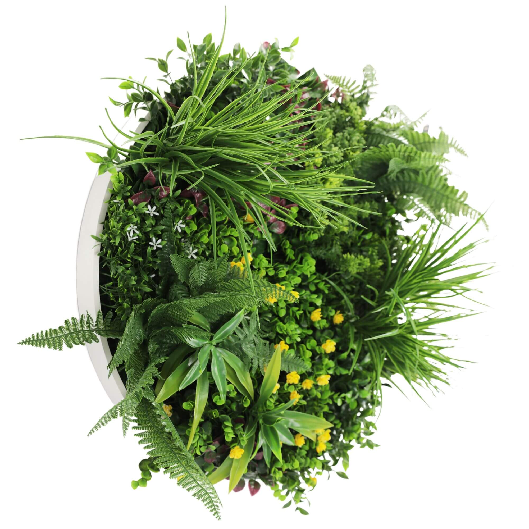 Slimline Artificial Green Wall Disc Art 60cm Country Fern UV Resistant (White) V637-DP9964