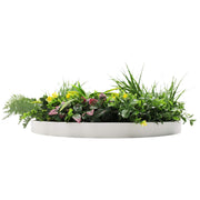 Slimline Artificial Green Wall Disc Art 60cm Country Fern UV Resistant (White) V637-DP9964